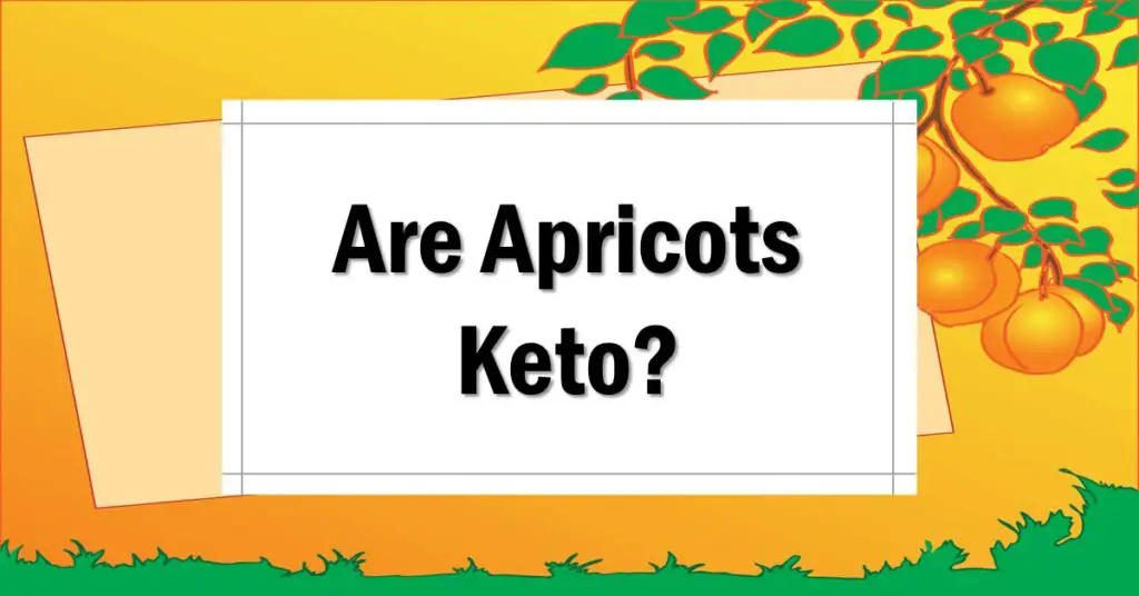 Are Apricots Keto Friendly