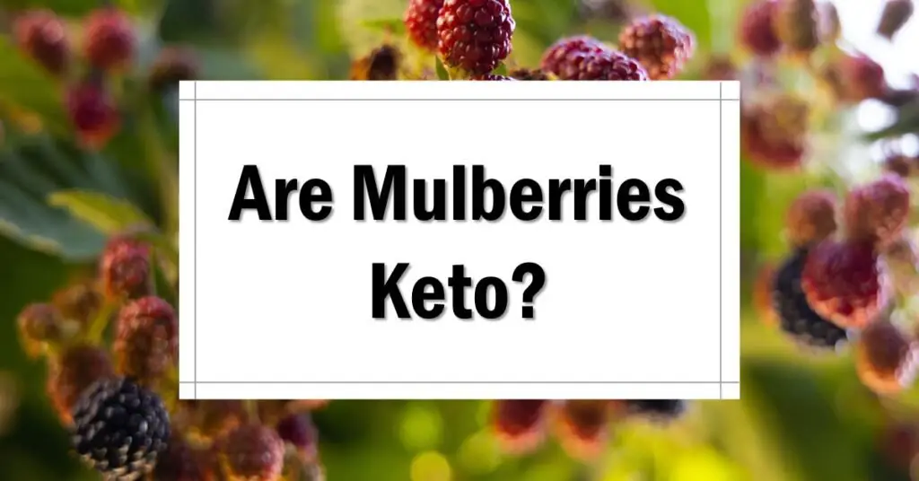 Are Mulberries Keto Friendly