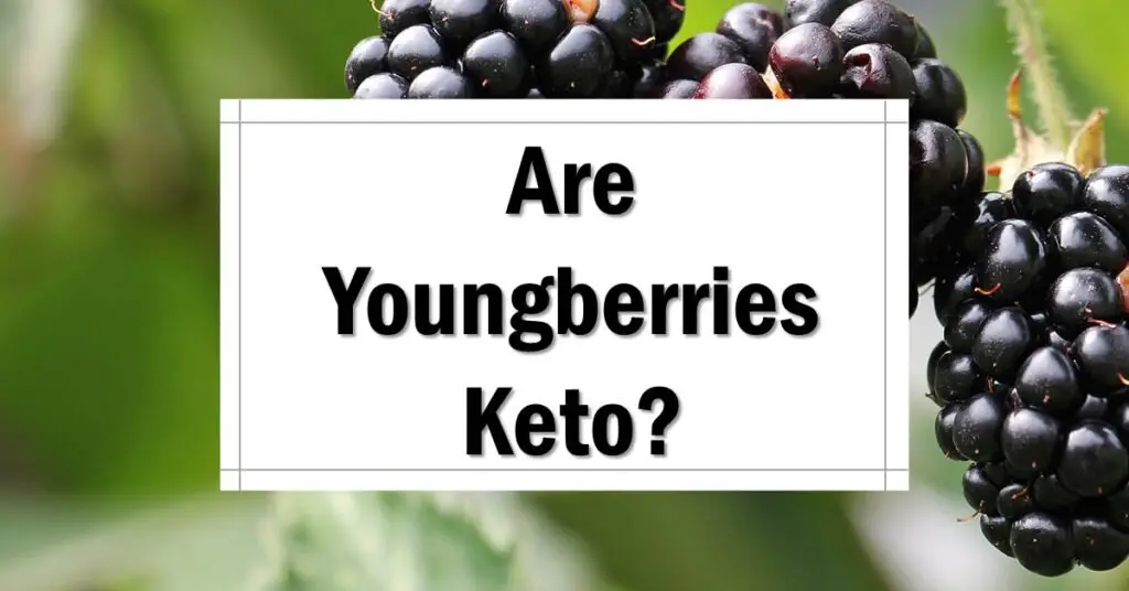 Are Youngberries Keto Friendly