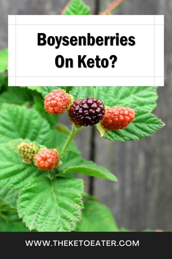 can I eat boysenberries on a keto diet