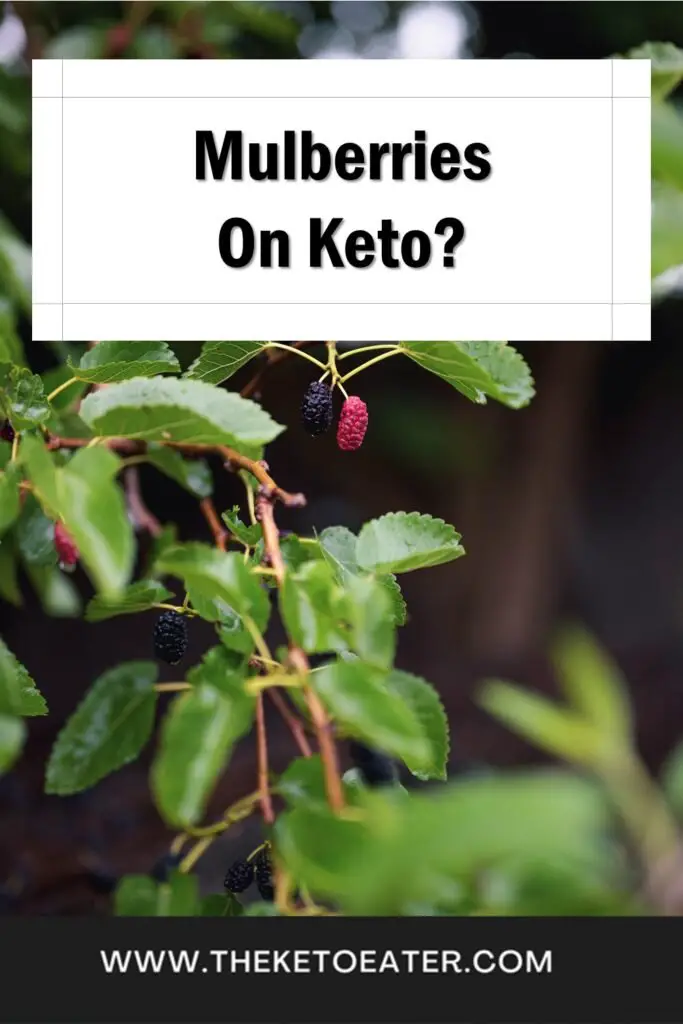 can I eat mulberries on a keto diet