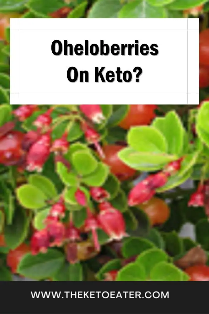 can I eat oheloberries on a keto diet