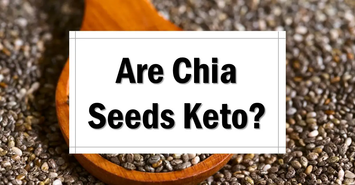 Can You Eat Chia Seeds On Keto? - The Keto Eater