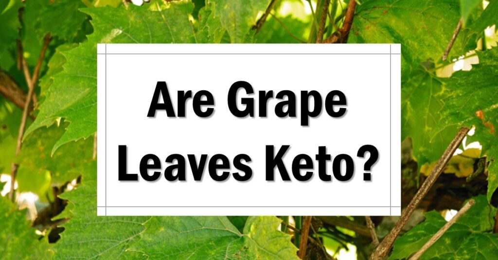 are-grape-leaves-keto-approved