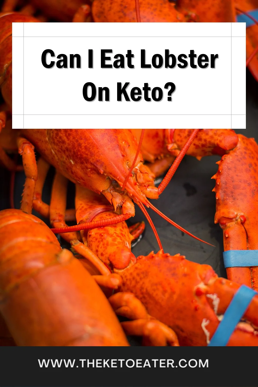 Can I Eat Lobster On Keto? The Keto Eater