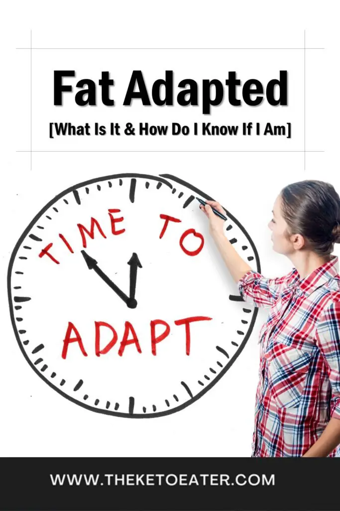 What Is Fat Adapted