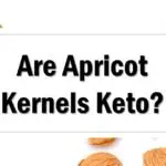 are-apricot-kernels-keto-approved