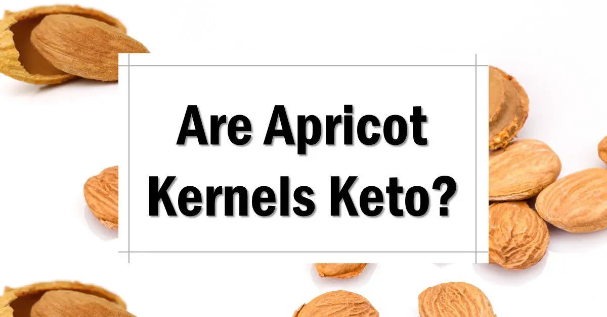Are Apricot Kernels Keto Friendly? The Keto Eater