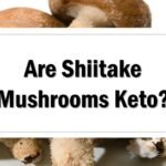 are-shiitake-mushrooms-keto-approved