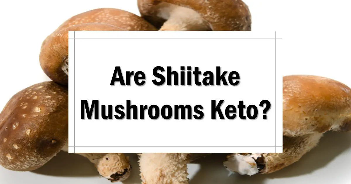 Are Shiitake Mushrooms Keto Friendly? [+Approved Alternatives] The