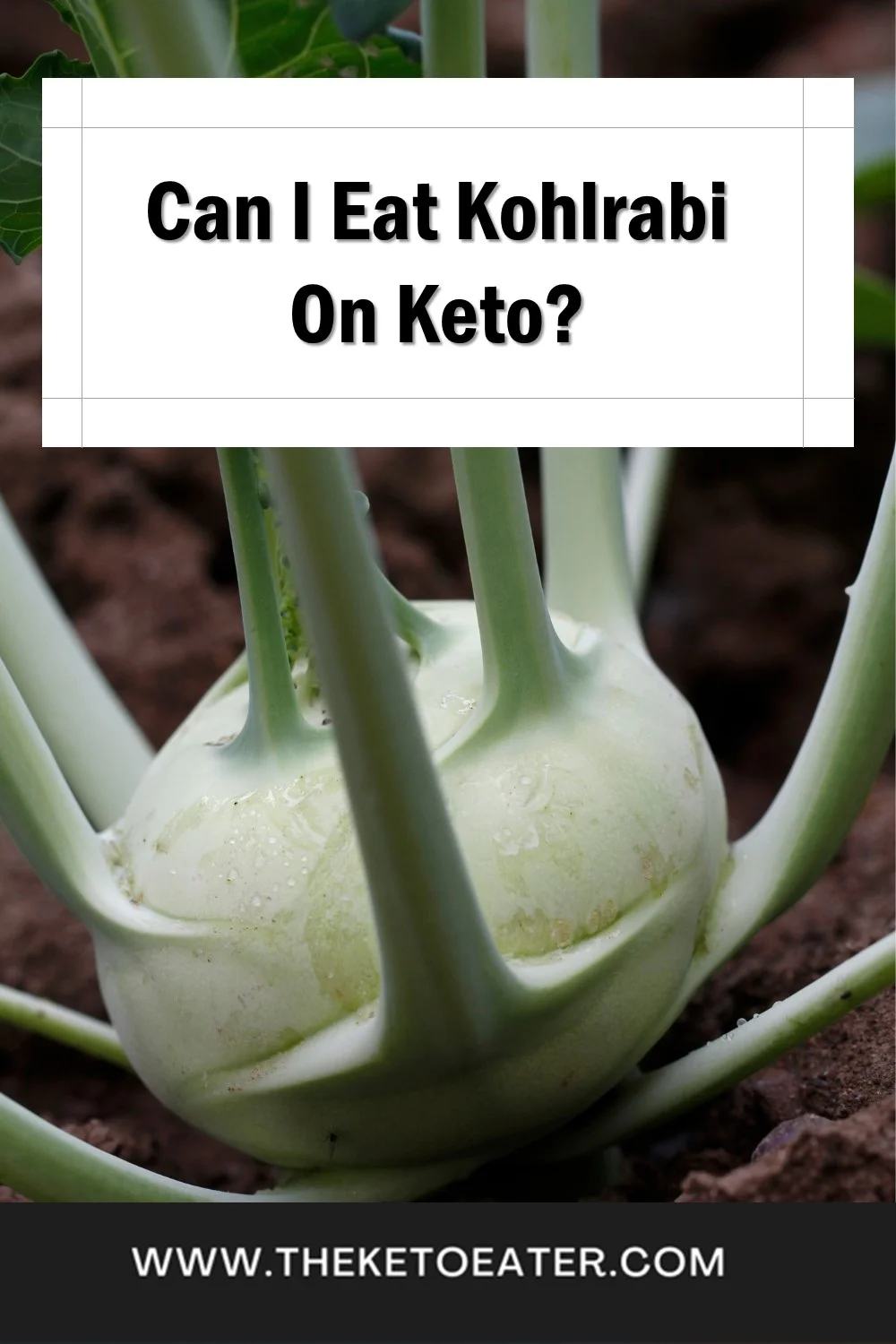 Is Kohlrabi Keto Friendly? [BONUS Surprise Serving Suggestions!] The