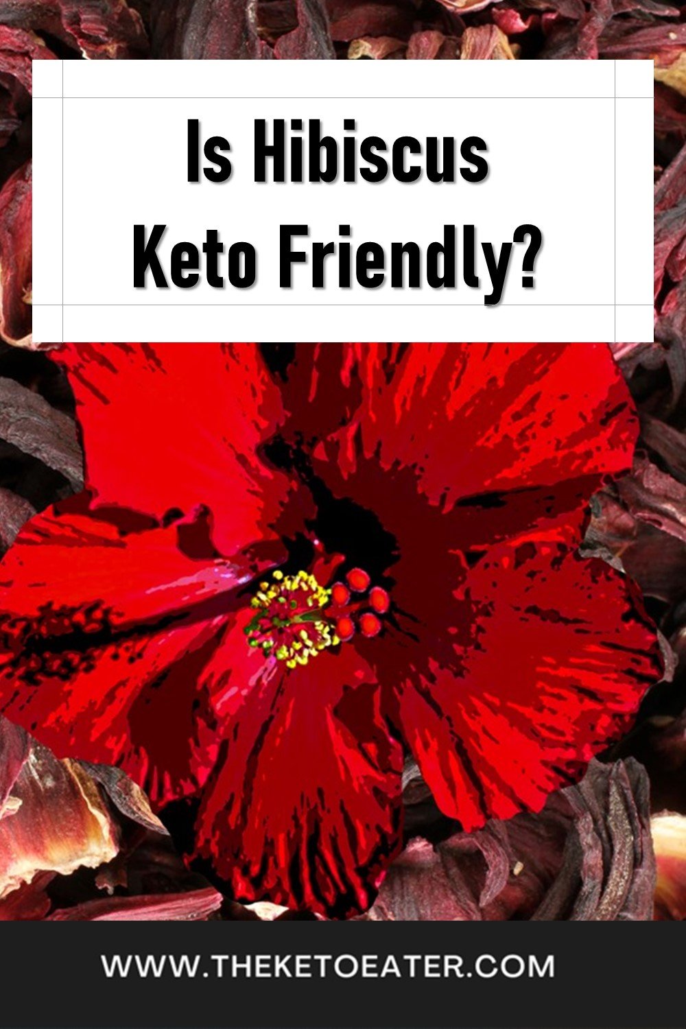 Is Hibiscus Tea Keto Friendly? - The Keto Eater