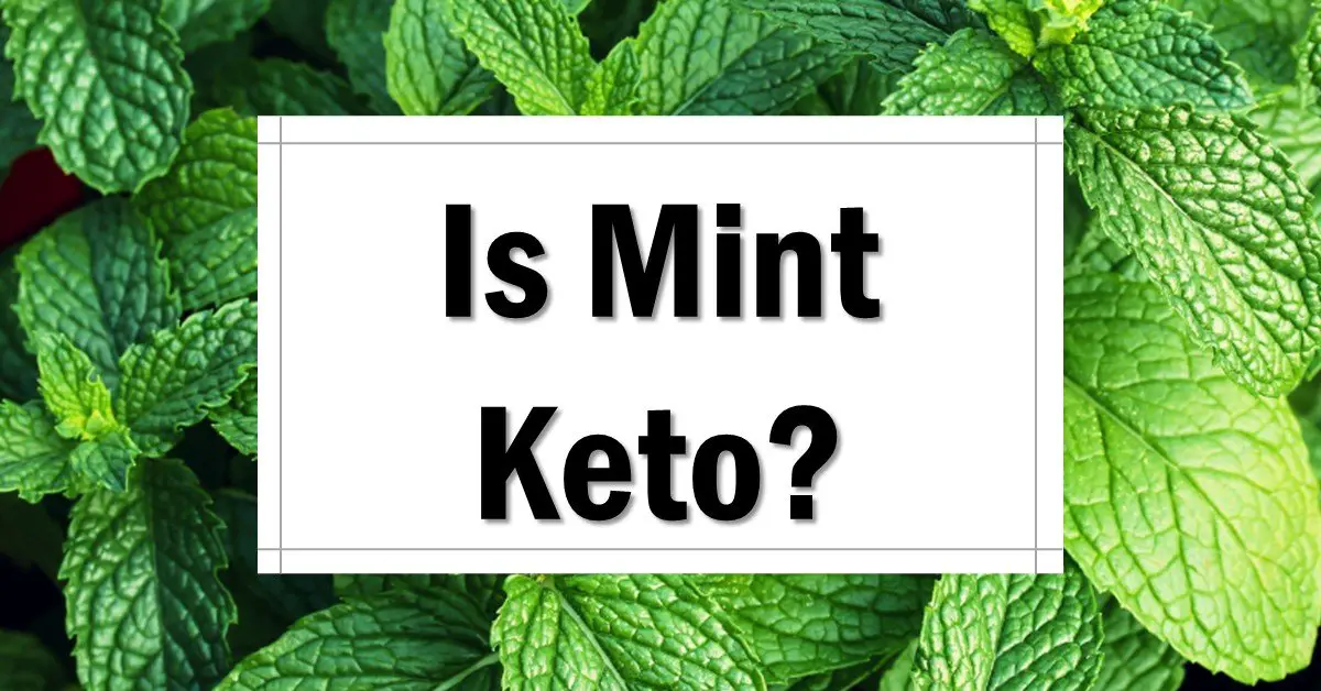 Is Mint Keto Friendly? The Keto Eater