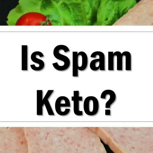 Are Bean Sprouts Keto Friendly? You may be Surprised! The Keto Eater
