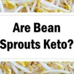 Are Bean Sprouts Keto Friendly Approved