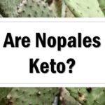 Are Nopales Keto Keto Friendly Approved