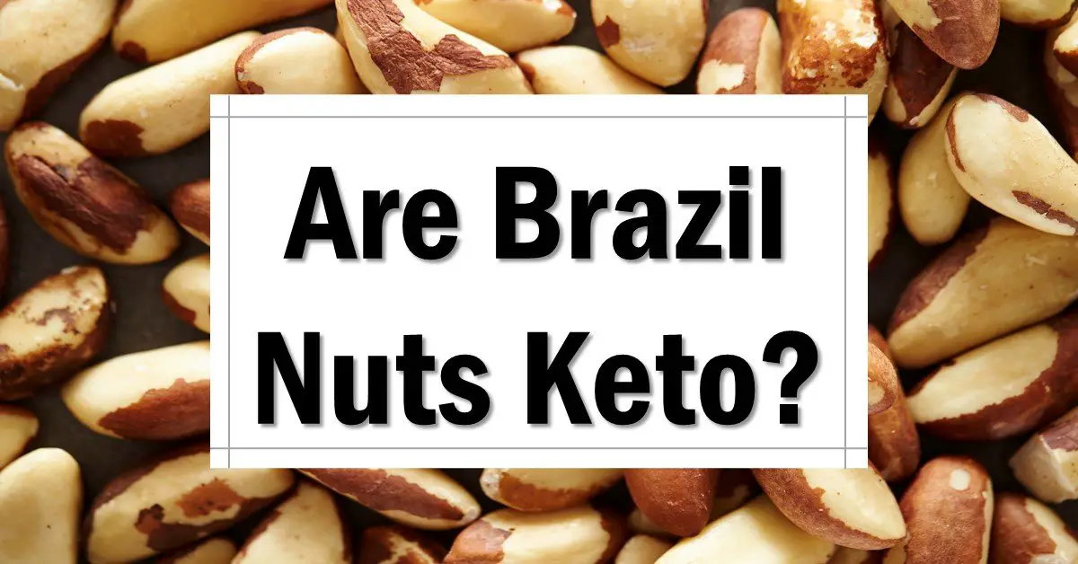 Are Brazil Nuts Keto Friendly? The Keto Eater