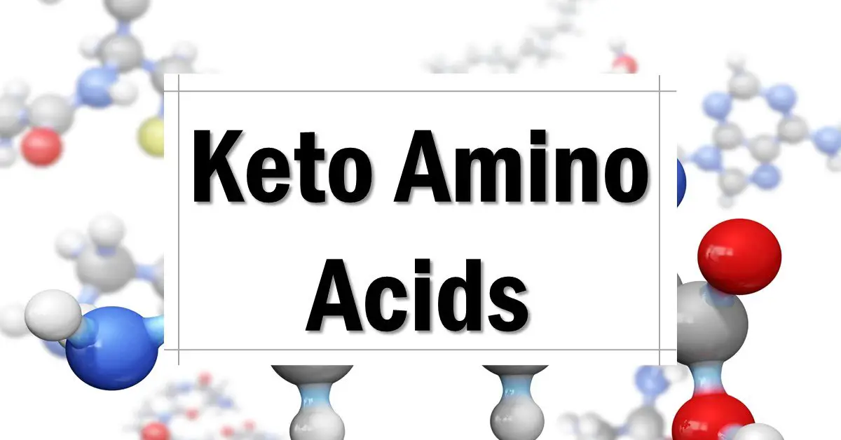 Keto Amino Acid Supplements BCAAs [Why You Need Them] The Keto Eater