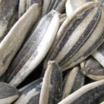Are-Sunflower-Seeds-keto-friendly-Can-I-eat-Sunflower-Seeds-on-Keto