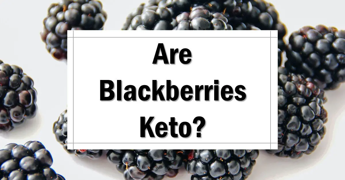 Are Blackberries Keto Friendly? The Keto Eater