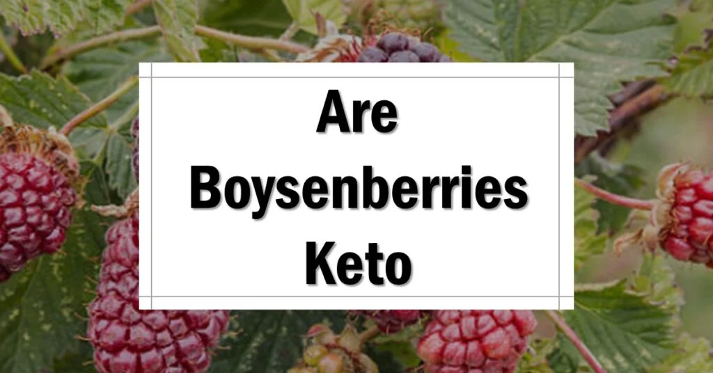 Are Boysenberries Keto Friendly