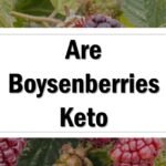 Are Boysenberries Keto Friendly
