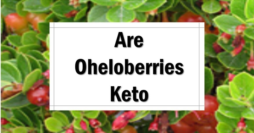 Are Oheloberries Keto Friendly