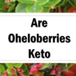 Are Oheloberries Keto Friendly