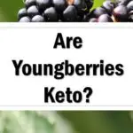 Are Youngberries Keto Friendly